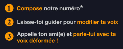 humour blague rire canular transformateur changeur de voix